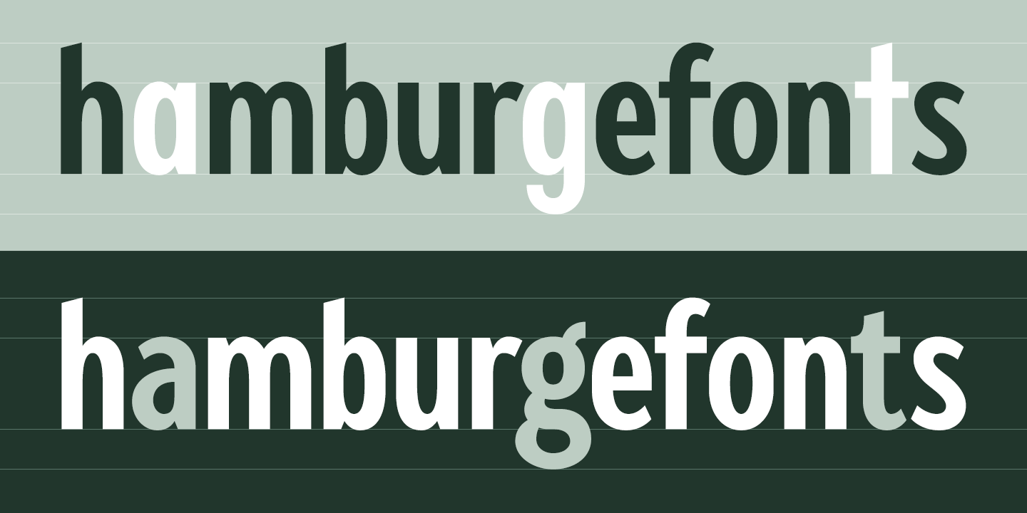 Ejemplo de fuente Fellbaum Grotesk Roman Italic